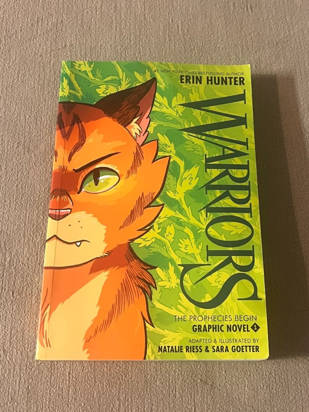 Warriors: The Prophecies Begin Graphic Novel Children's Book New